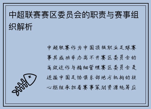 中超联赛赛区委员会的职责与赛事组织解析